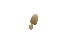 Couronne Ion Polycarbonate 002 5pcs