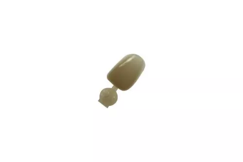 Couronne Ion Polycarbonate 028 5pcs