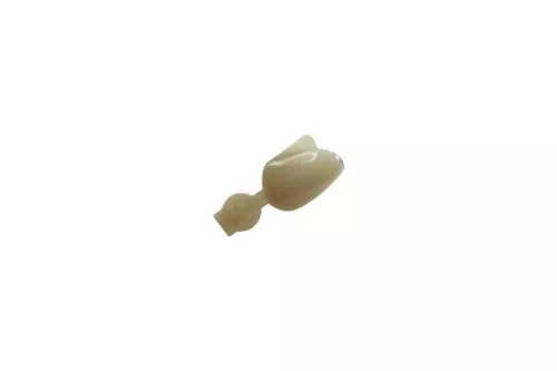 Couronne Ion Polycarbonate 034 5pcs