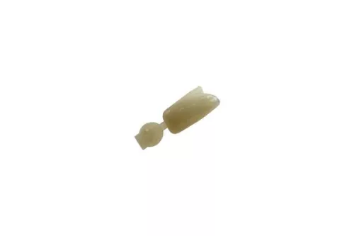Couronne Ion Polycarbonate 063 5pcs