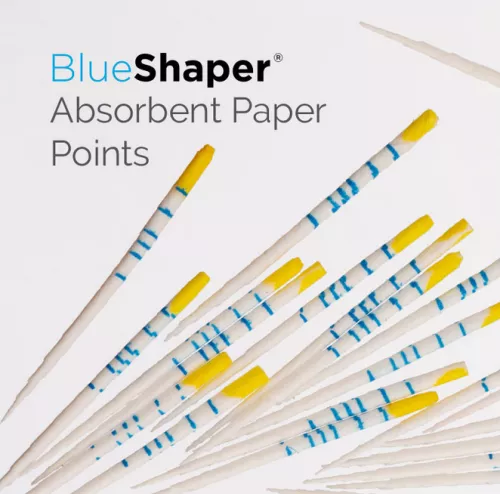 Point Papier Blueshaper Z4