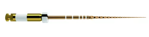 Waveone Gold Glider Sterile 31Mm 6pcs