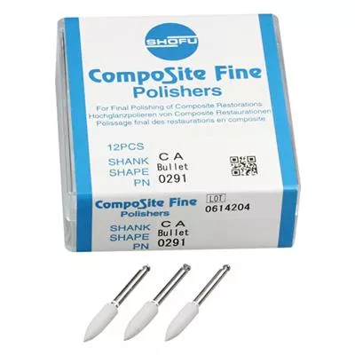 Composite Points Bullet Ca 12pcs
